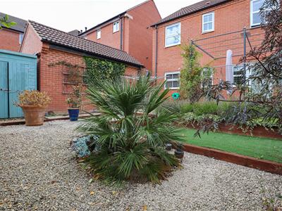 Picture 21